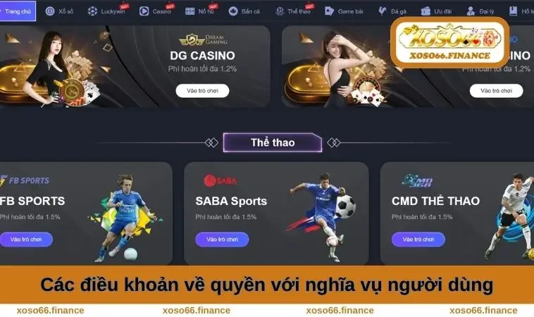 Các điều khoản về quyền với nghĩa vụ người dùng