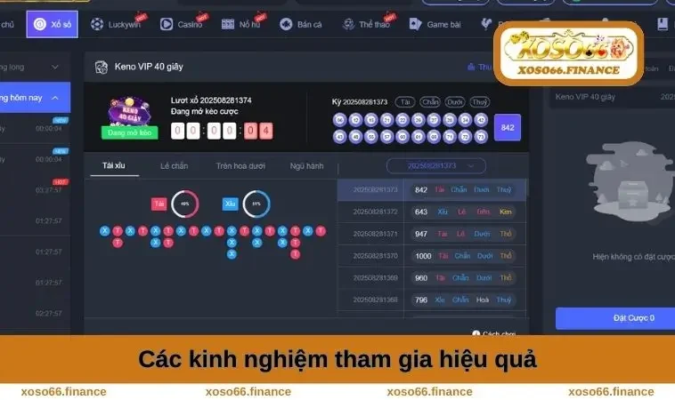 Kinh nghiệm tham gia hiệu quả