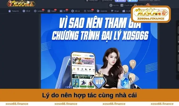 Đại Lý XOSO66 1 Lý do nên hợp tác cùng nhà cái