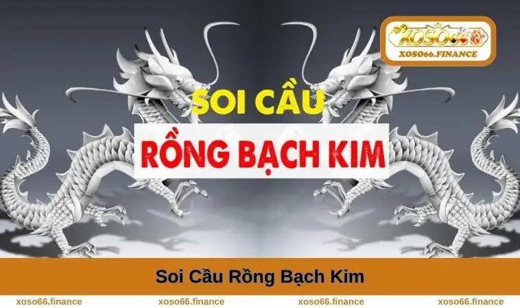 soi-cau-rong-bach-kim