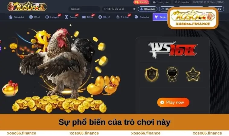 Đá Gà XOSO66 1 Sự phổ biến của trò chơi này